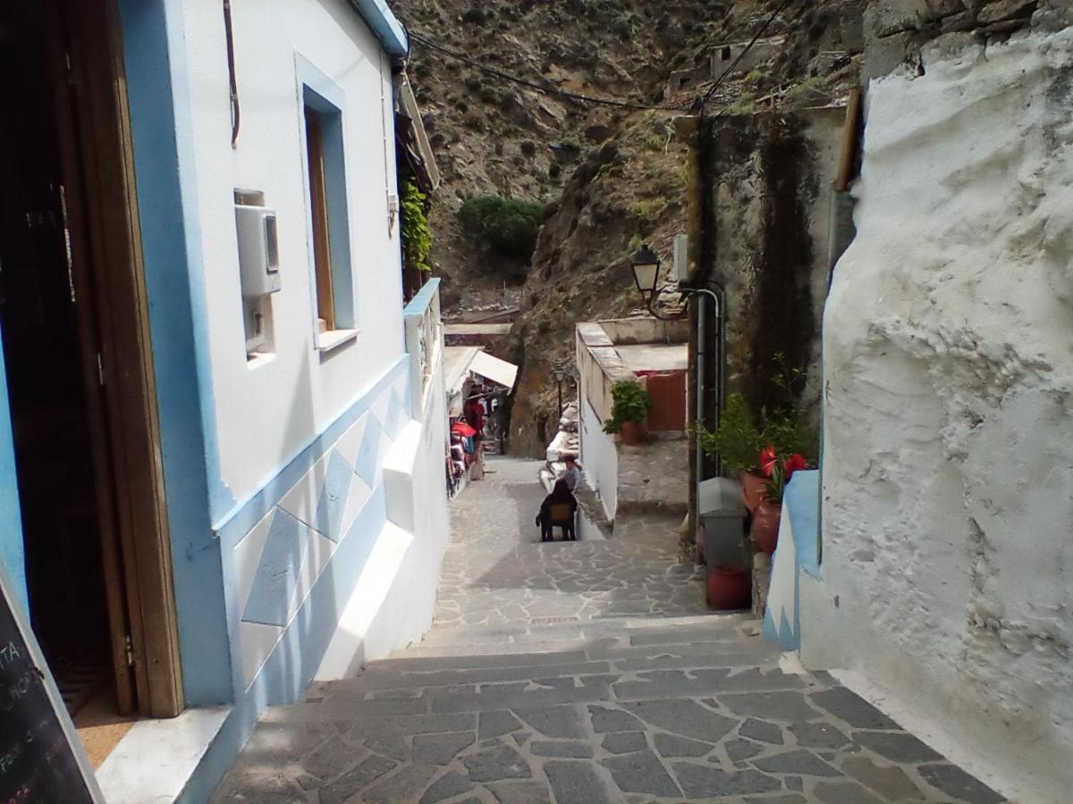 Olympos Apt With Amazing Mountain View מראה חיצוני תמונה